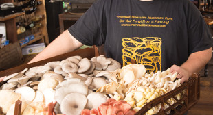 Kansas City’s Food Stars – ThisIsKC